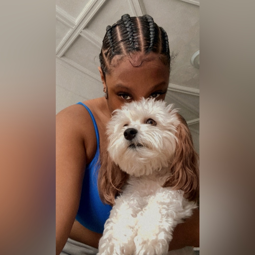 Meet your Posher, Sammie